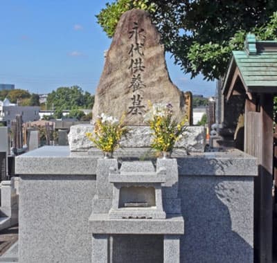 ご遺骨供養・散骨