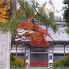 金泉寺