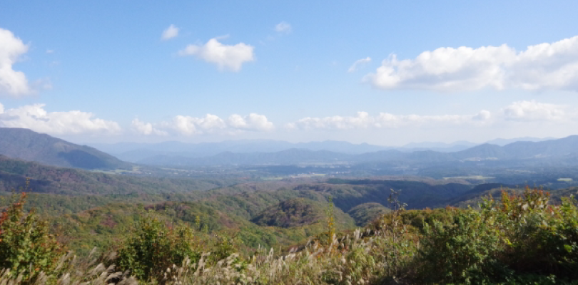 端山散骨