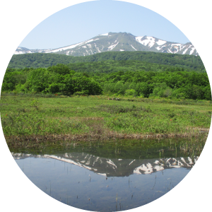 端山散骨