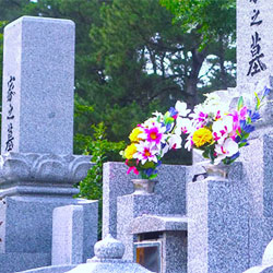実施