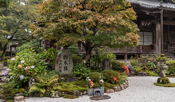 樹木葬・合祀墓への納骨