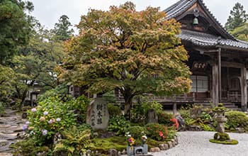 寺墓地タイプの樹木葬イメージ