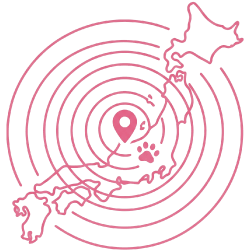 全国対応のアイコン