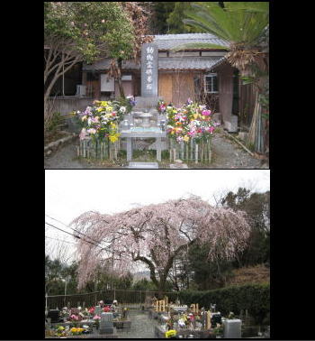 ペット供養