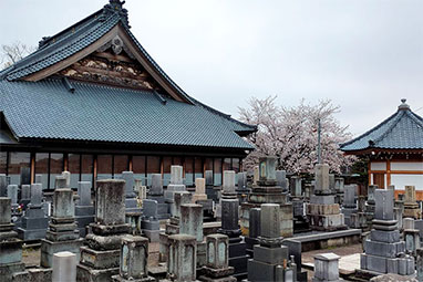 明善寺