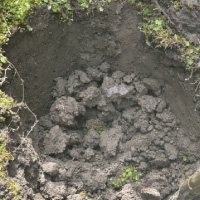 土葬・墓じまいのご遺骨