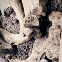 土葬で大きな骨が残っている場合のご遺骨