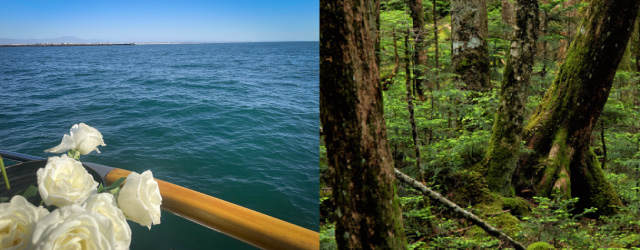 海洋散骨・森林散骨